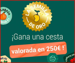 Sorteo Voltz Maraichage 250 Euros Cesta