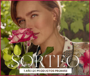 Sorteo Promise Lote 12 Meses