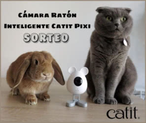 Sorteo Catit Cámara Mascotas