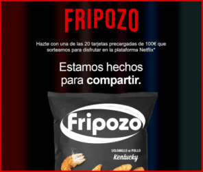 Sorteo Fripozo 20 Cuentas Netflix