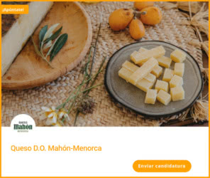Tester Trnd Quesos Mahon