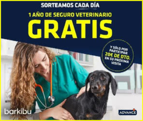 Sorteo Advance 165 Seguros Veterinarios