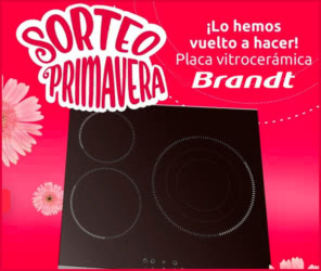 Sorteo Brandt Placa Vitro