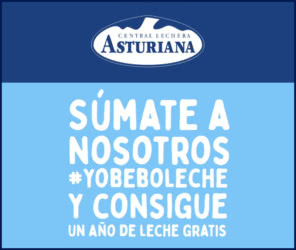Sorteo Central Lechera Asturiana 12 Meses Lotes