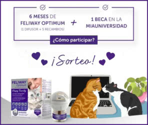 Sorteo Feliway Miauacademy
