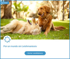 10000 Embajadores Leishmaniosis