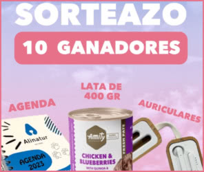 Sorteo Amity 10 Lotes