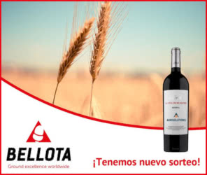 Sorteo Bellota 20 Lotes