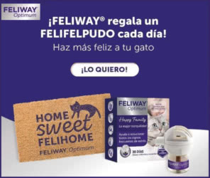 Sorteo Por Compra Feliway Felpudos