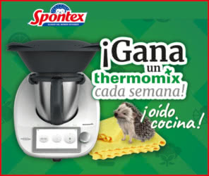 Sorteo Por Compra Spontex 13 Thermomix 2023