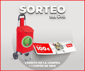 Sorteo Supermercados Día Carrito 100 Euros