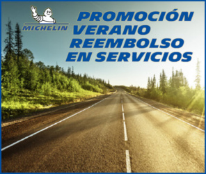 Reembolso Michelin Hasta 100 Euros