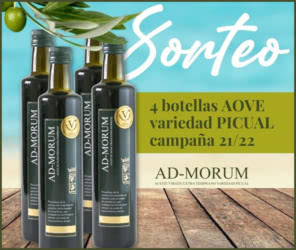 Sorteo Ad Morum 4 Botellas Aove