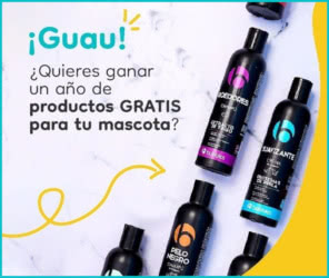 Sorteo Bubbles Lote 12 Meses