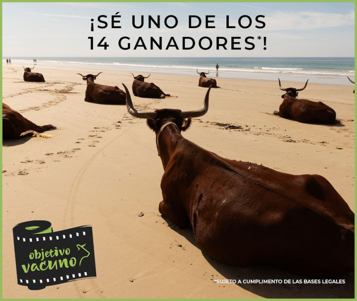 Sorteo Carne Vacuno 14 Premios