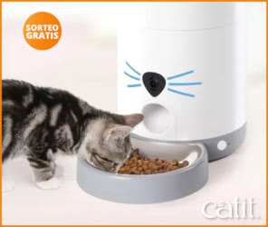 Sorteo Catit Comedero Inteligente Vision Pixi