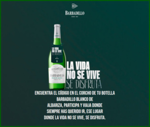 Sorteo Por Compra Barbadillo Viaje