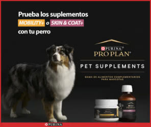 Tester Wamiz Purina Skin Coat Mobility