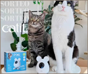 Sorteo Catit Camara Ratón