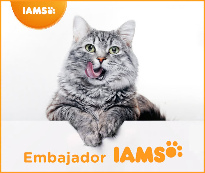 Sorteo Iams Embajadores