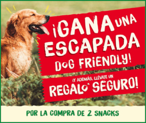 Sorteo Por Compra Purina Escapada Mascotas