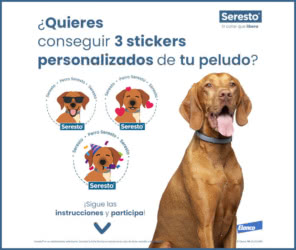 Sorteo Seresto 50 Pack Stickers