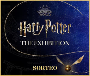 Sorteo Womensecret Harry Potter