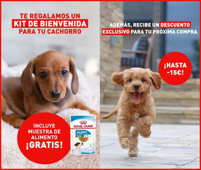 Muestras Gratis Royal Canin Kit Bienvenida