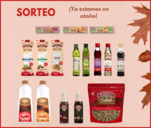 Sorteo Borges Lote Profesional
