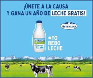 Sorteo Central Lechera Asturiana Lote 12 Meses