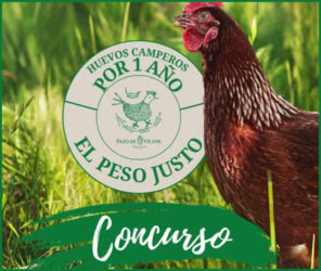 Sorteo Pazo De Vilane Lote 12 Meses