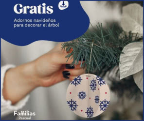 Gratis Leche Pascual Adornos Navidad Manualidades