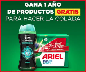 Sorteo Fairy 12 Meses Lote