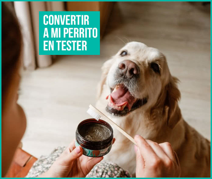 Tester Secretbeauty Perros