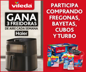 Sorteo Por Compra Vileda 24 Freidoras Aire