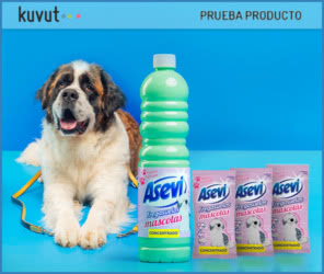 Tester Kuvut 300 Probadores Asevi