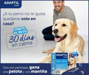 Regalo Por Compra Adaptil Pelota Manta