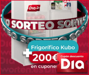 Sorteo Dia Worten Frigorifico Y 200e