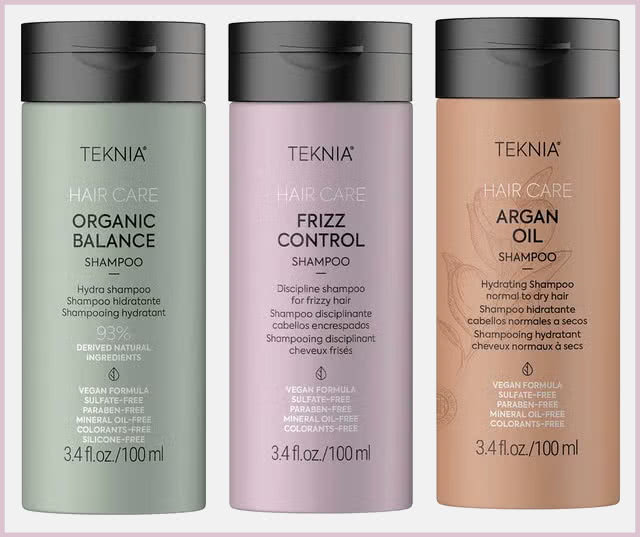 Avance Regalos Revistas Noviembre 2024 Elle Pocket Teknia
