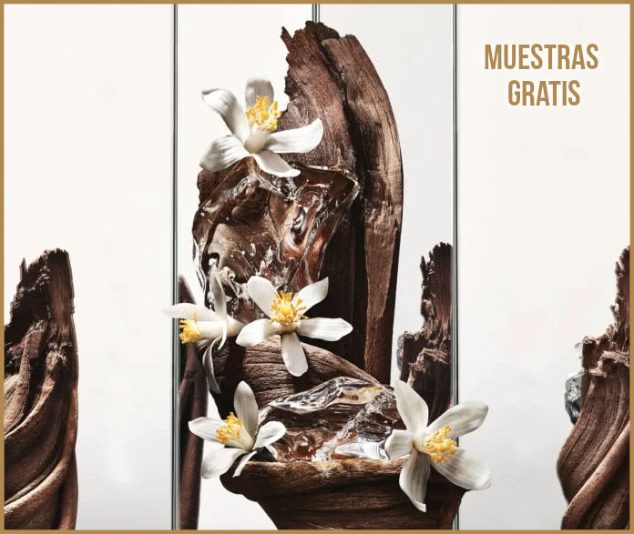Muestras Gratis Ysl Recoger Eci