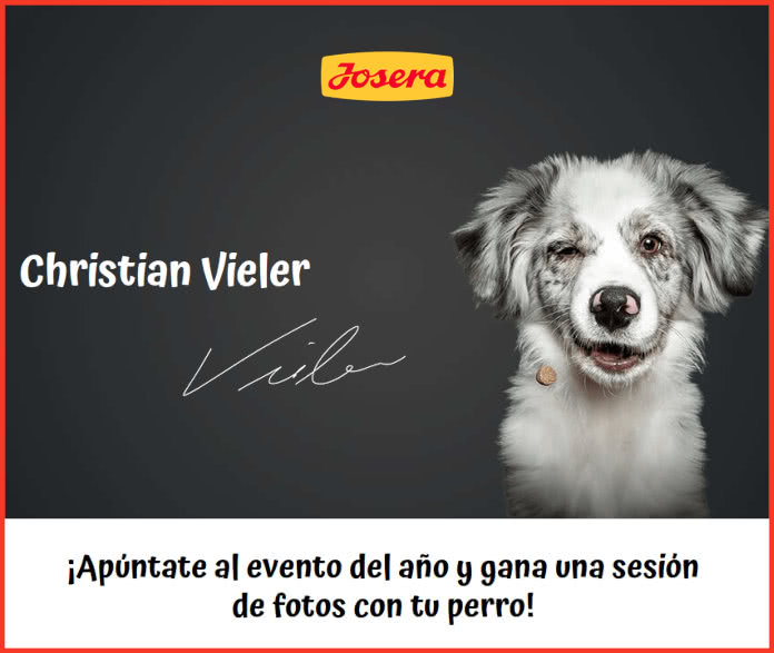 Sorteo Josera Sesion Fotos Mascota