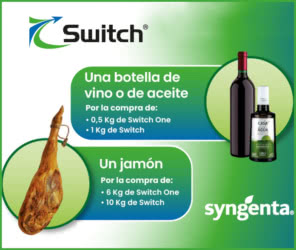 Sorteo Syngenta Lote Jamon