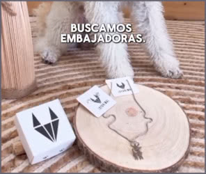 Tester Joya Animal Embajadoras