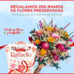 Sorteo Por Compra Raffaello 200 Flores Preservadas