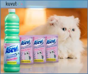 Tester Kuvut Asevi Mascotas