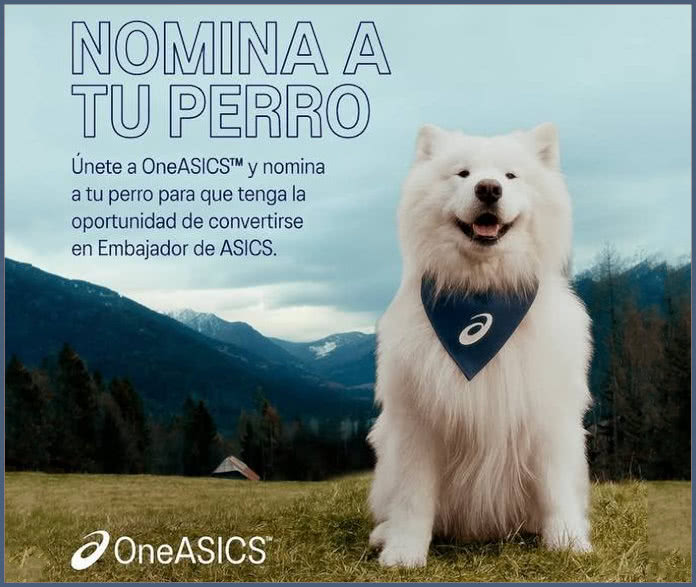 Sorteo Asics Perro Embajador