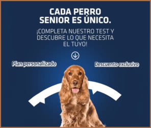 Cupones Descuento Advance Encuesta 12e