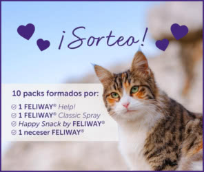 Sorteo Feliway 10 Packs