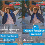 Concurso Giotto Lotes