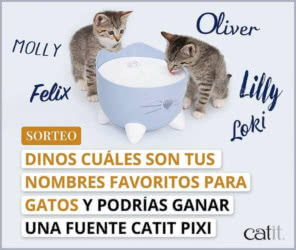 Sorteo Catit Fuente Gatos Diaria